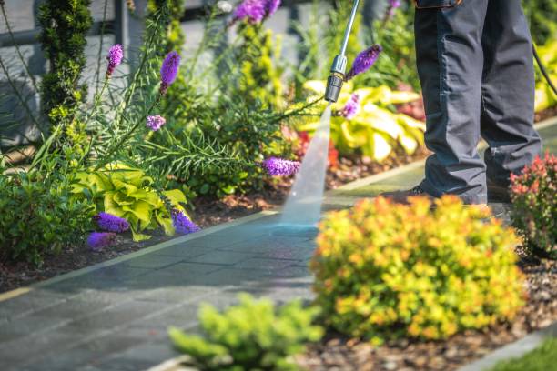 Best Residential Pressure Washing in Tara Hills, CA