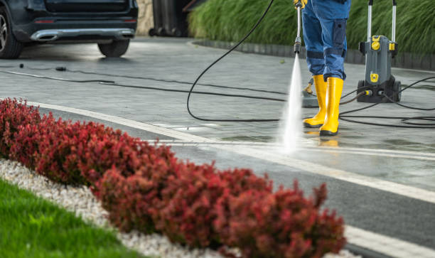 Professional Pressure Washing Services in Tara Hills, CA